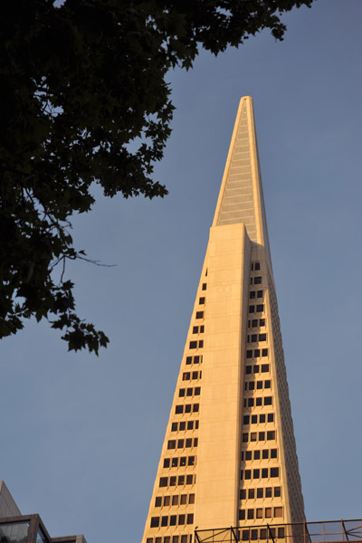 SFOMay09 569.jpg