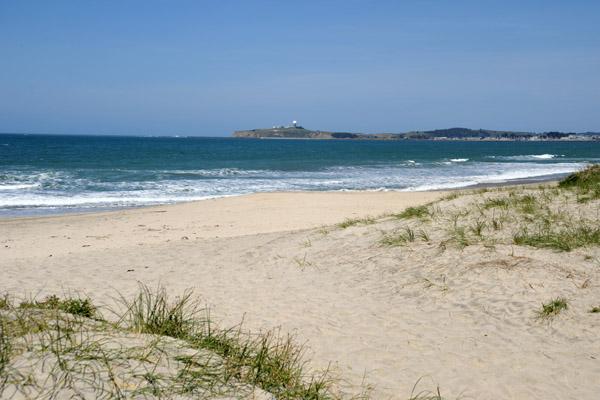 SFOMay09 175.jpg