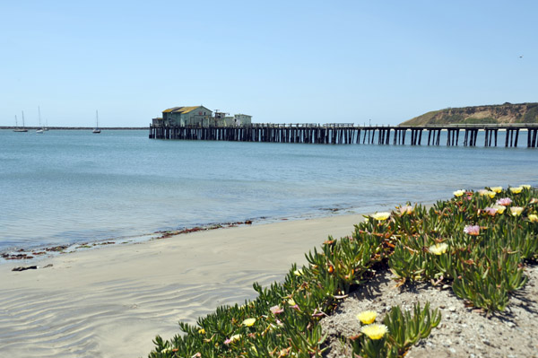 SFOMay09 181.jpg