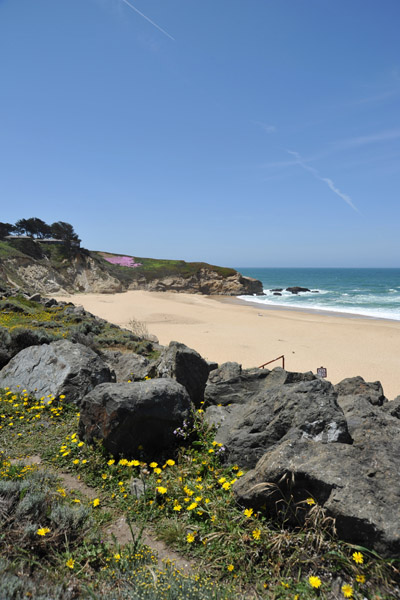 SFOMay09 216.jpg