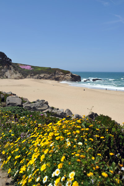 SFOMay09 219.jpg