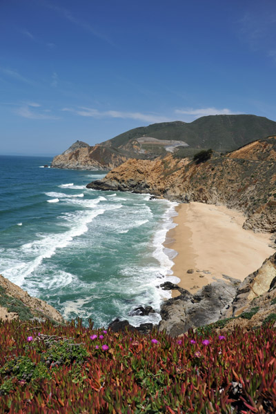 SFOMay09 224.jpg