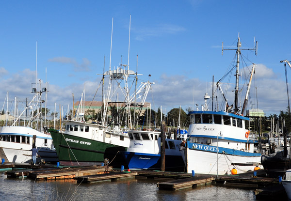 Moss Landing