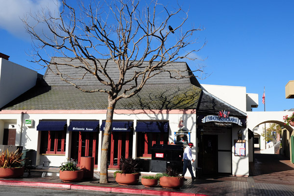 CentralCoastFeb09 208.jpg