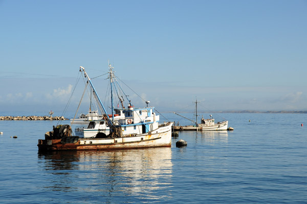 CentralCoastFeb09 259.jpg