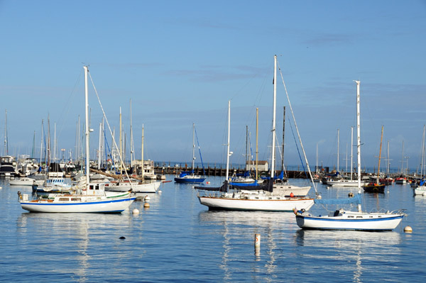 CentralCoastFeb09 260.jpg