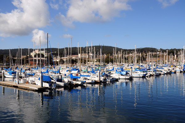 CentralCoastFeb09 287.jpg