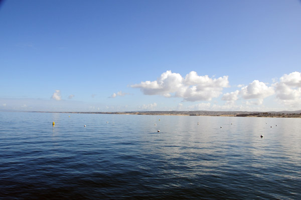 CentralCoastFeb09 292.jpg