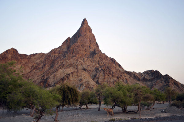 Pinnacle along Oman Route 8 near Al Wuqbah