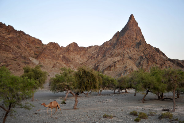 Pinnacle along Oman Route 8 near Al Wuqbah