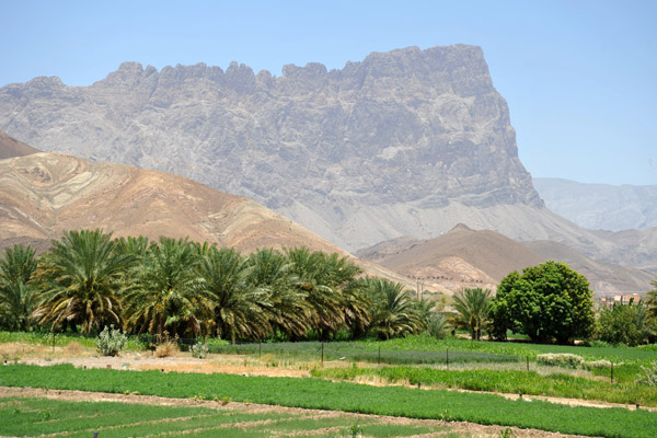 Jabal Misht, Oman