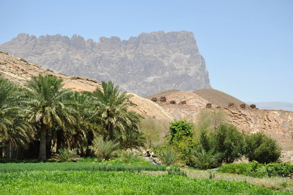 Jebal Misht, Oman
