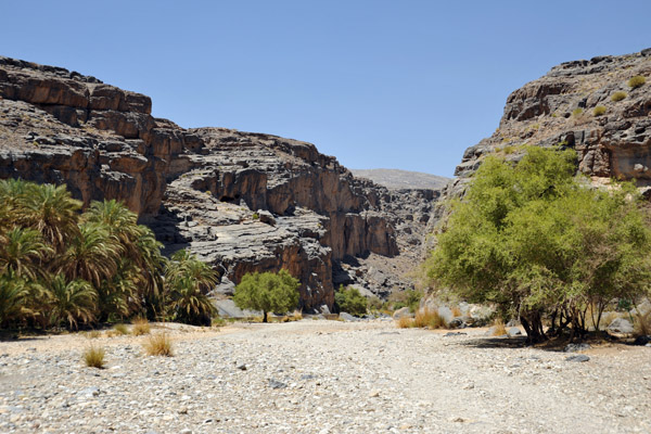 Entering Wadi Dham (sometimes spelled Damm)