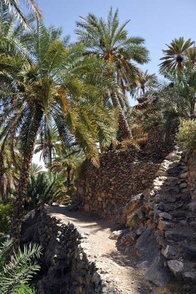 Pathway along the terraces, Misfat Al Abryeen