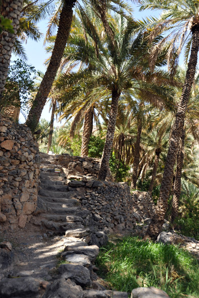 Terraces, Misfat Al Abryeen
