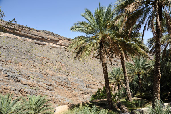 Cliffs across the wadi from Misfat Al Abryeen
