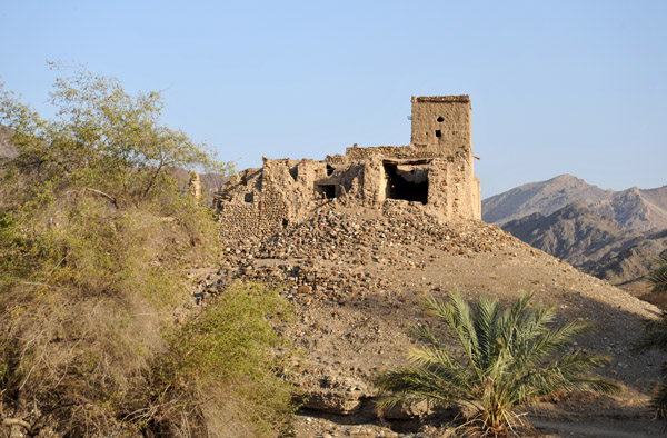 Ruins with a tower, Wadi Hawasinah
