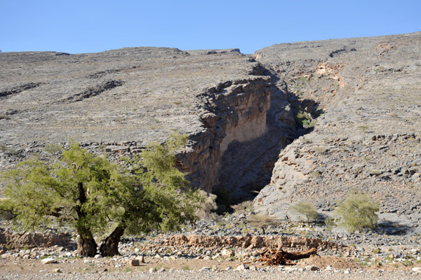 Canyon eroded in the southwest flank of Jabal Shams