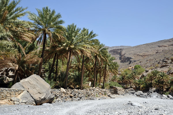 Oasis village of Al Hajir, 2 km into the gorge
