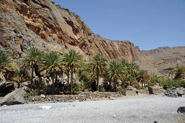 Date palm oasis, Al Hajir, Wadi An Nakhur