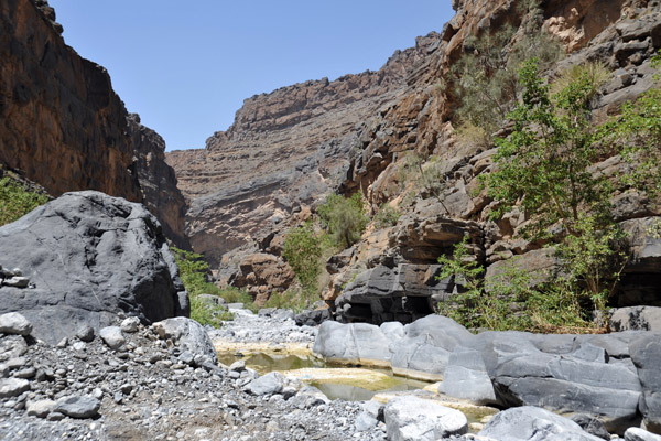 Pools of standing water, Wadi An Nakhur, the Grand Canyon of Arabia