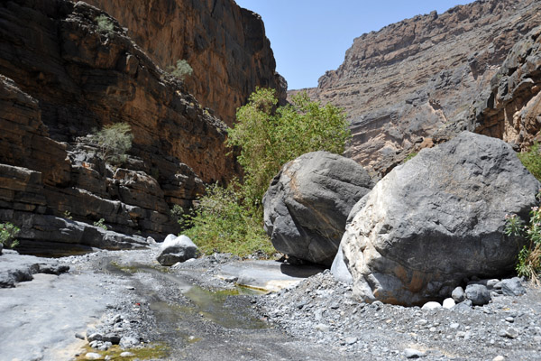 The track passes through a wet section of Wadi An Nakhur