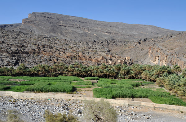 Oasis of Ghul with the abandoned old village and the south rim of the Wadi An Nakhur Gorge