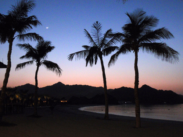 Palms at dusk, Al Bustan Palace beach