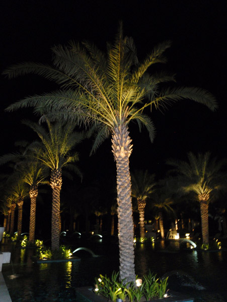 Palms of the Al Bustan Palace at night