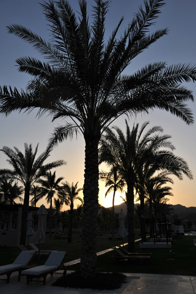 Palms at dusk, Al Bustan Palace