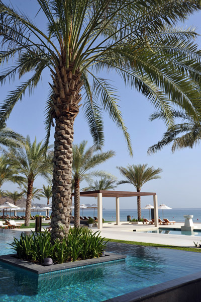 Palm and pool, Al Bustan Palace
