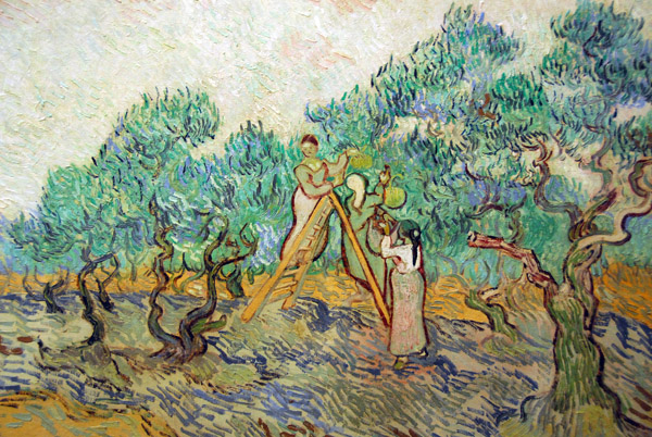 The Olive Orchard, Vincent Van Gogh, 1889