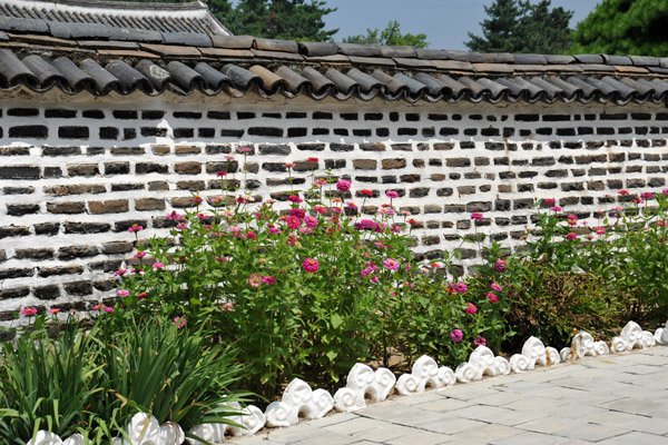 Flowers growing along a wall of the Koryo Museum, Kaesong