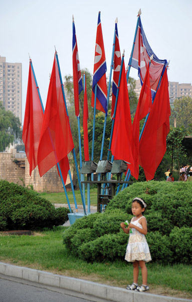 Flags outside the Monument to the Victorious Fatherland Liberation War