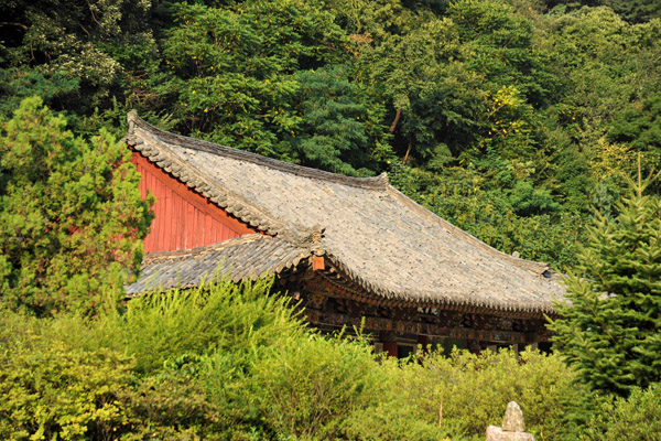 Tiled roof of the adjacent Kwanum Hall, Pohyon Temple