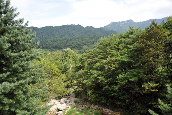 Myohyangsan Nature Reserve