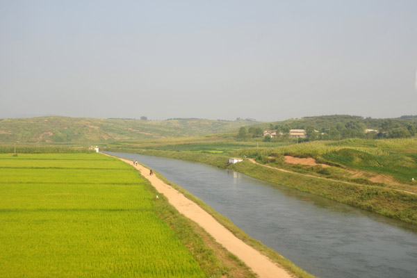 Canal and rice paddies, North Korea