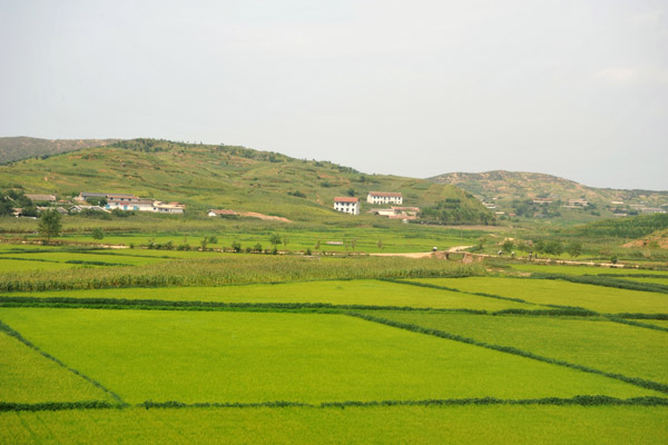 Agricultural landscape, North Korea