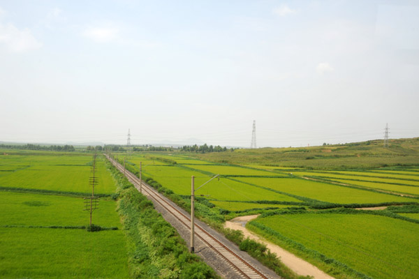 Railroad and rice paddies, South Phyongan Province, North Korea