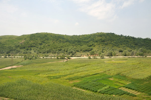 Green fields of mixed crops, South Phyongan Province, North Korea