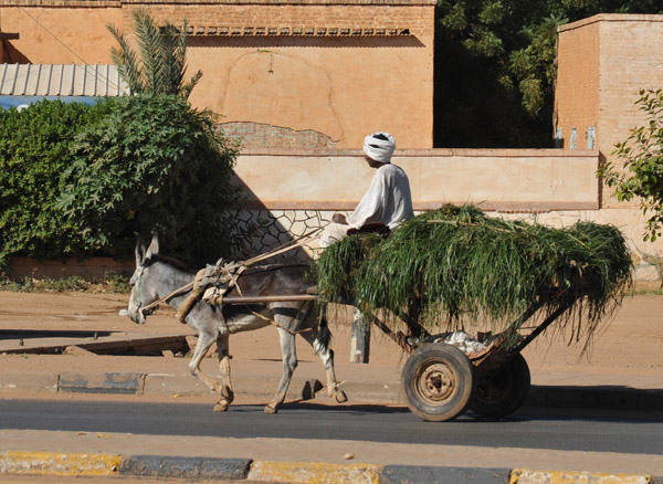 Donkey cart, Omdurman
