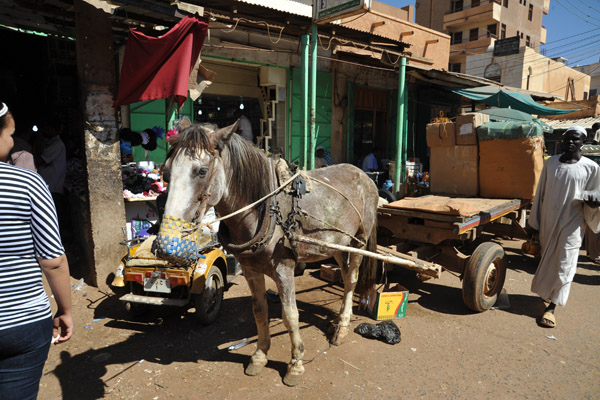 Donkey cart, Omdurman Souq