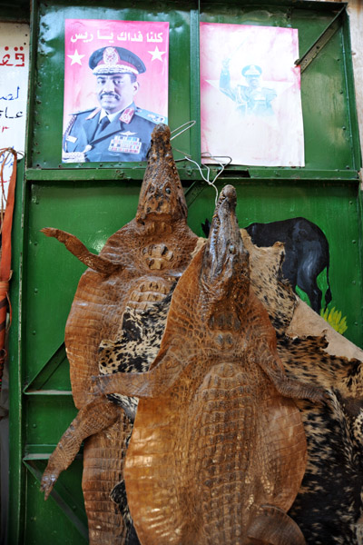 Crocodile skins, Omdurman Souq