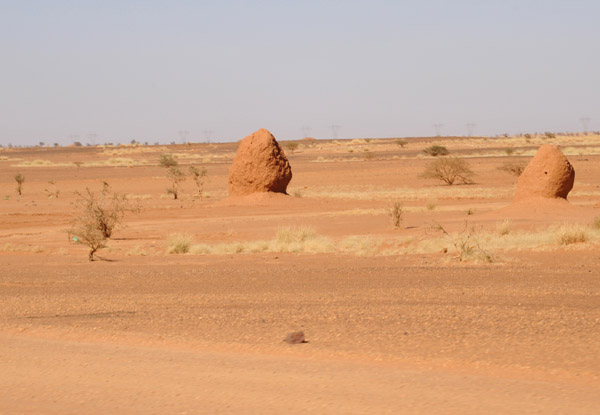 Termite mounds perhaps...