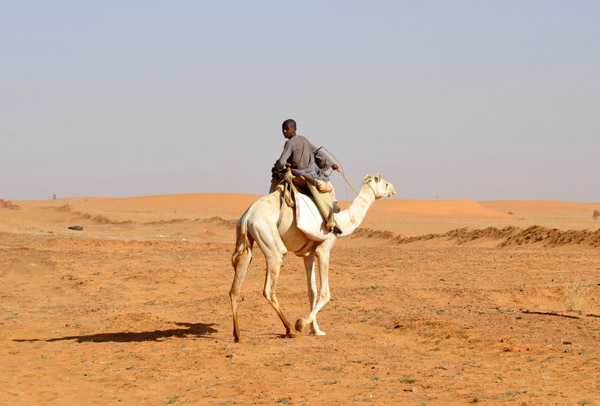 Sudanese camel herdsman