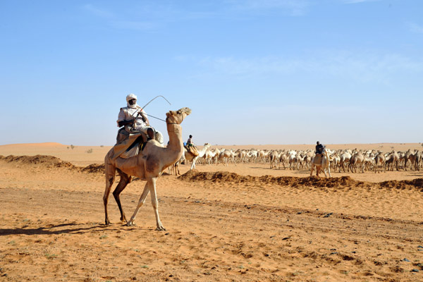 The iconic desert scene, Sudan