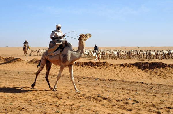 Sudan - Libyan Desert