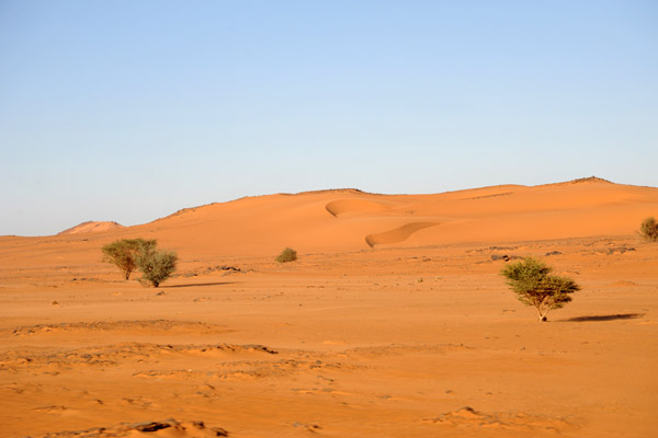 Sand dunes, Libyan Desert, Sudan