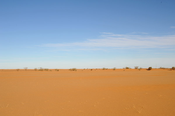 Driving back to the main road