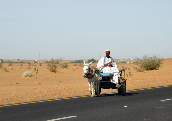 Sudanese man riding a donkey cart sidesaddle along the main road